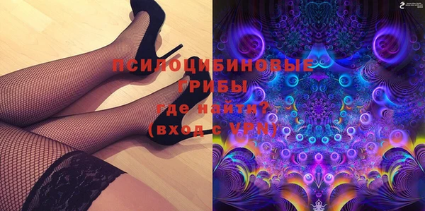 прущие грибы Белокуриха