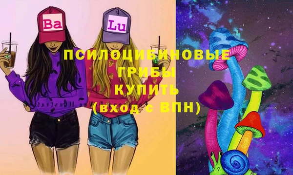 мдпв Богданович