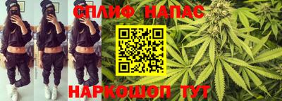 сатива Нарткала
