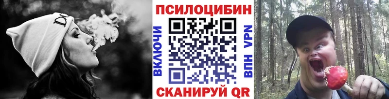 KRAKEN рабочий сайт где продают Великие Луки Псилоцибиновые грибы Magic Shrooms