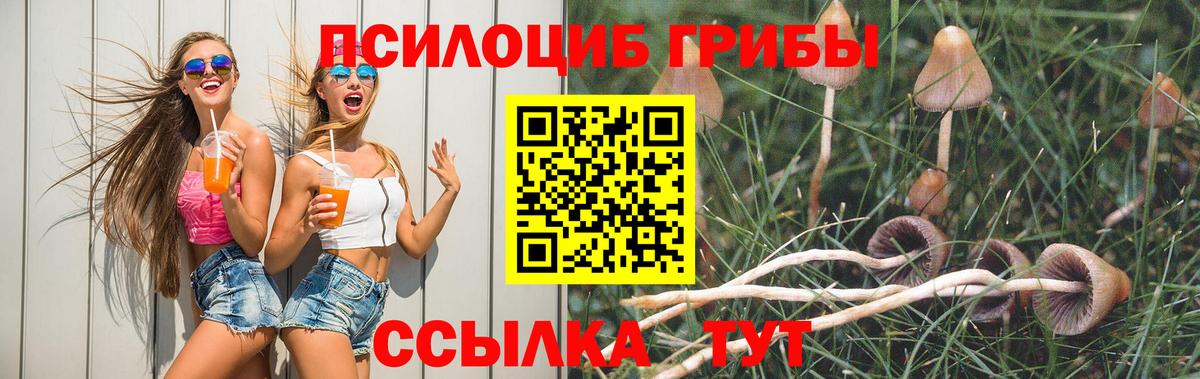 Великие Луки  Галлюциногенные грибы прущие грибы  Вход с VPN 