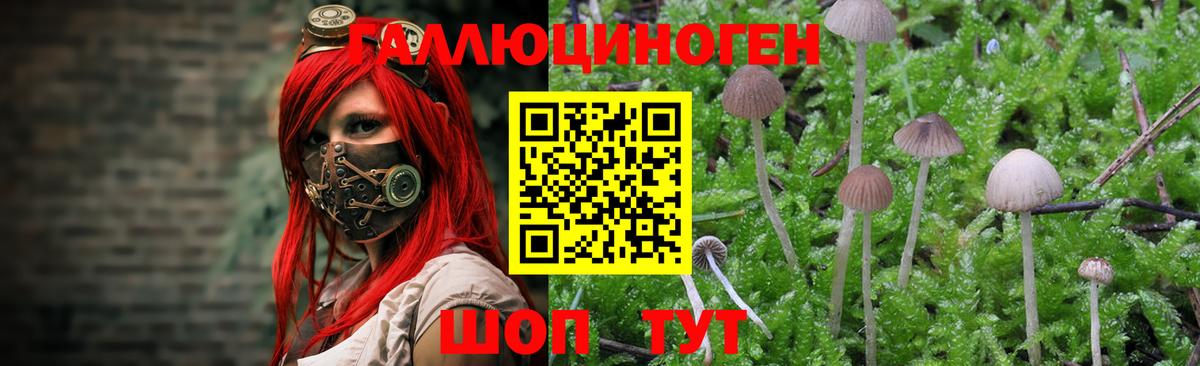 Галлюциногенные грибы ЛСД Великие Луки